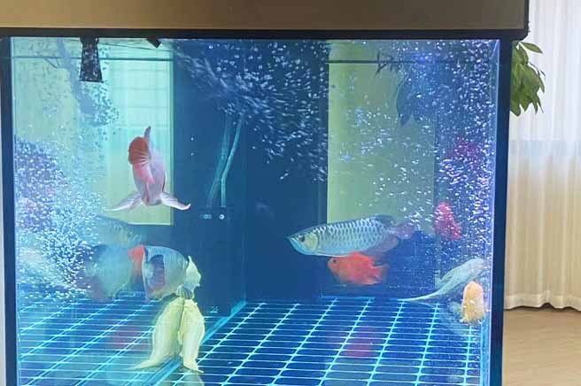 老板办公室鱼缸风水布局.jpg